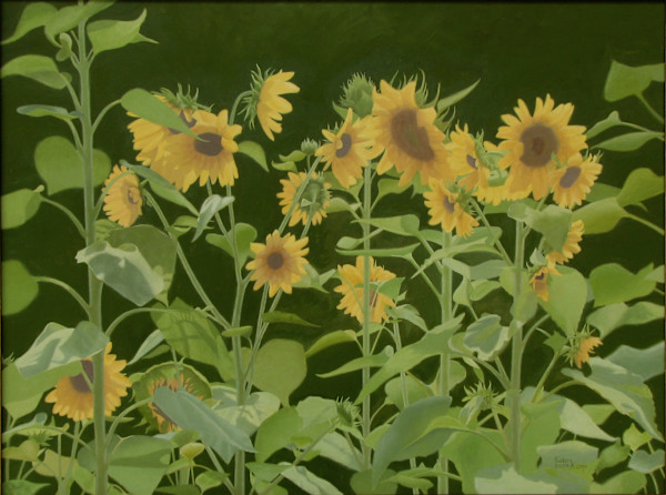 Sunflowers by Susan Kane