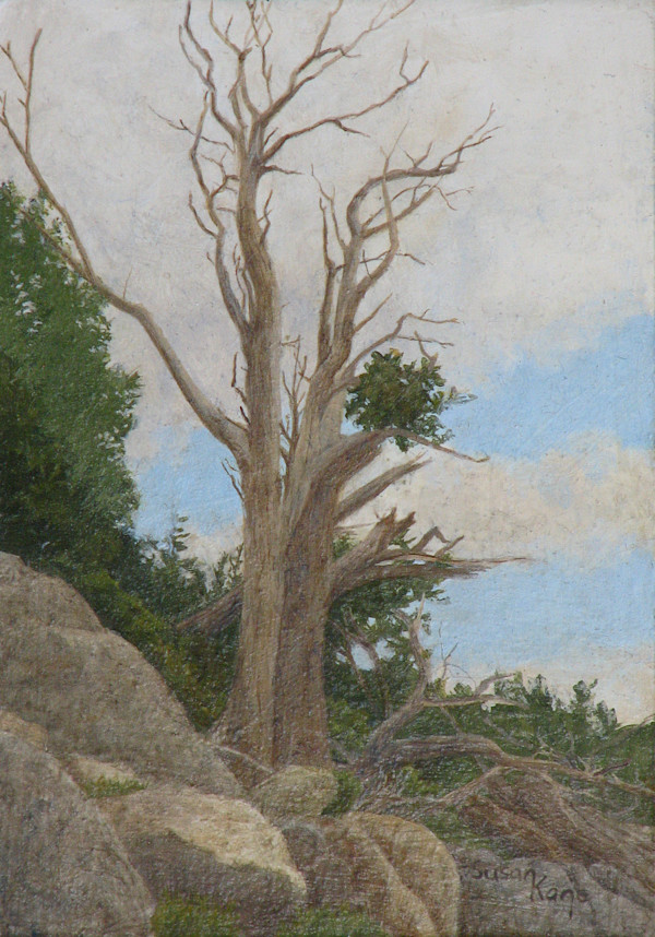 The Survivor by Susan Kane, Image 1.