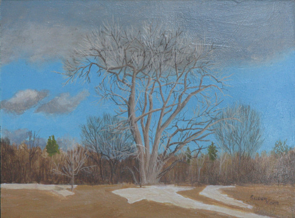Winter Cottonwood by Susan Kane