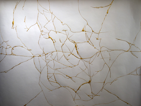 Gold Cracks
