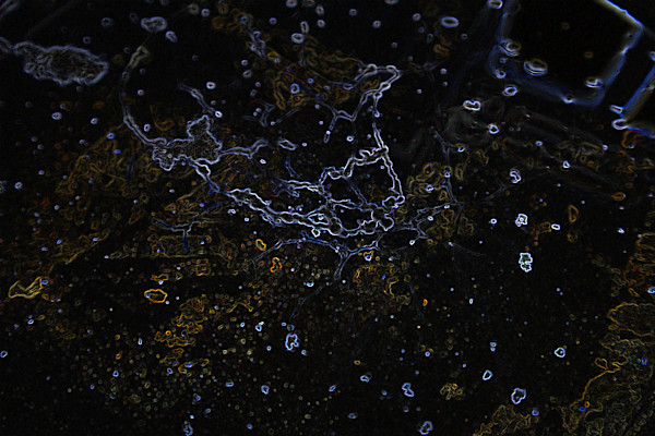 viruses_1_hqop4a_6
