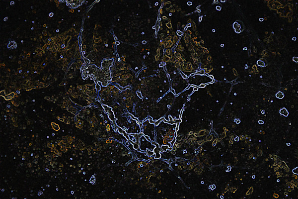 viruses_2_kujtyr_5