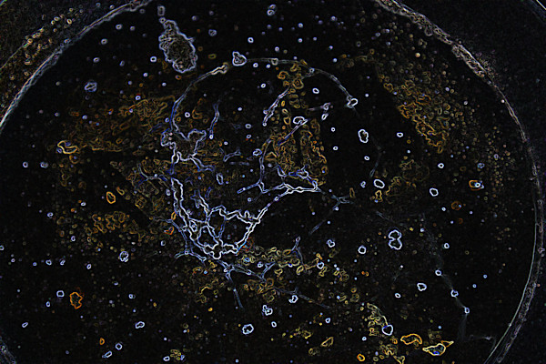 viruses_3_v8oeeq_3