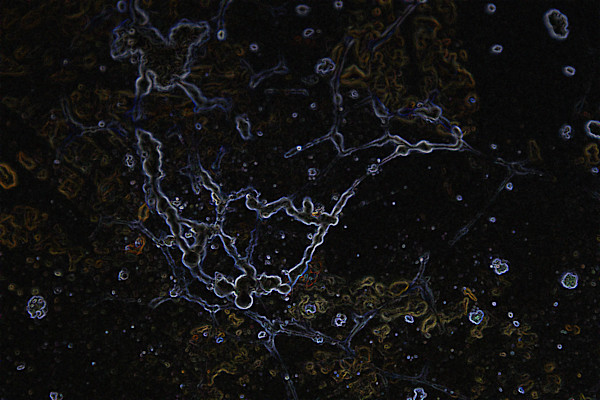 viruses_4_bzs1lc_4