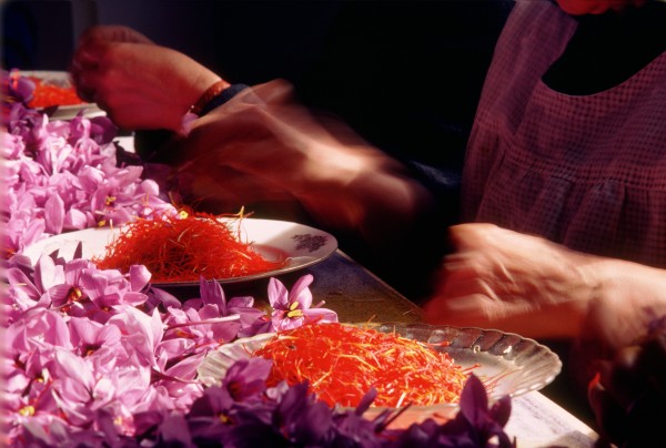 Untitled (Saffron hands close up) by Kay Chernush