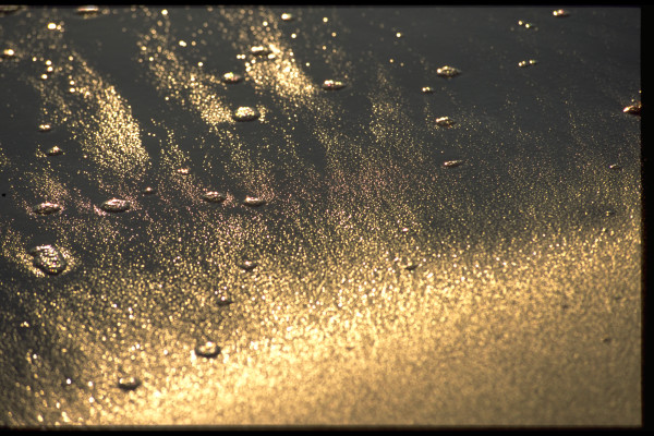 Untitled (Sand and water droplets)