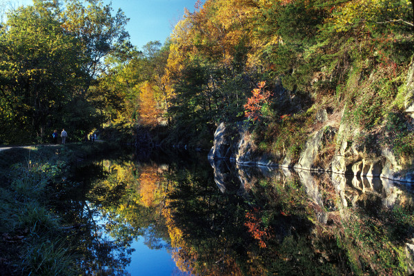 Untitled (C&O Canal 1)