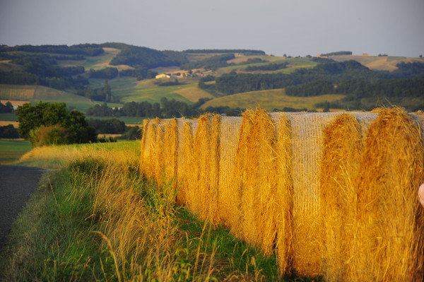 Untitled (Hay bales)