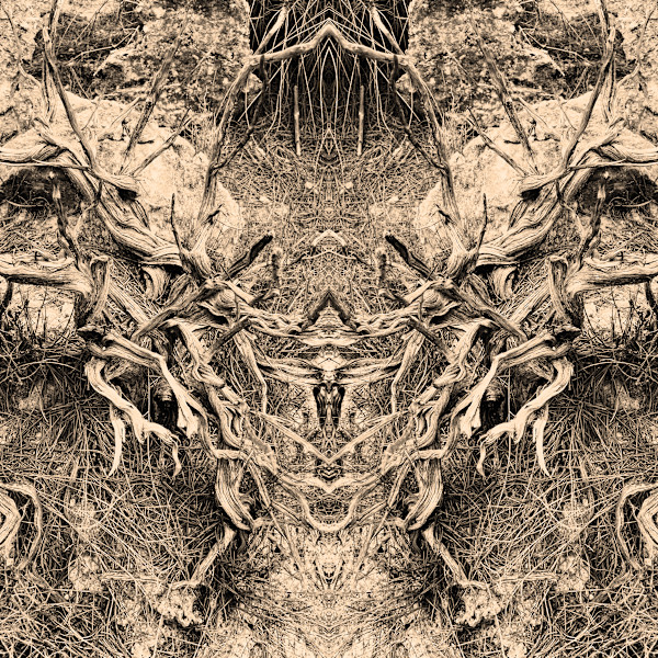Hidden Creature 01 by Katie Hagen (Kat), Image 8.