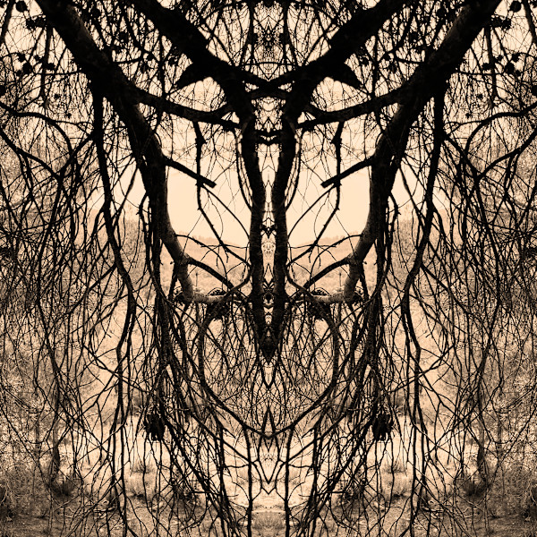Hidden Creature 02 by Katie Hagen (Kat), Image 2.