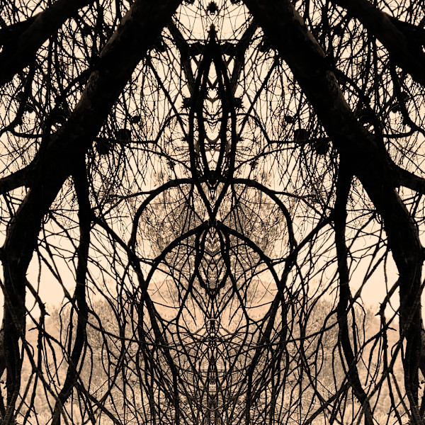 Hidden Creature 05 by Katie Hagen (Kat), Image 3.
