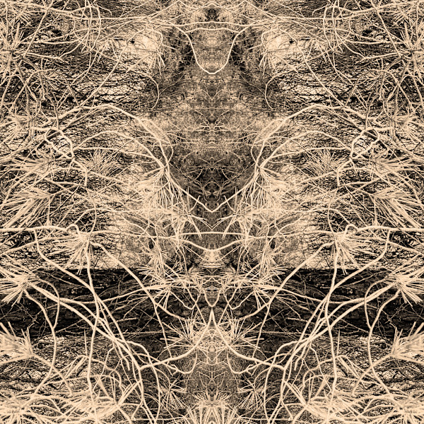 Hidden Creature 07 by Katie Hagen (Kat), Image 6.