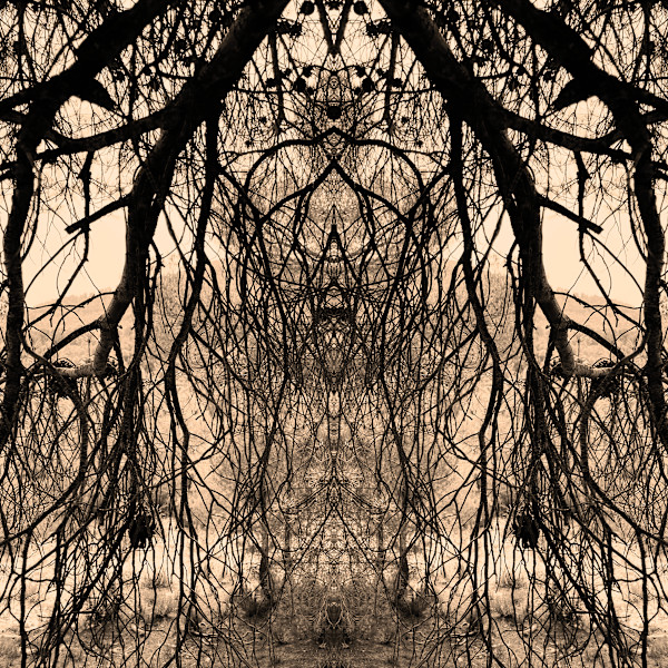 Hidden Creature 09 by Katie Hagen (Kat), Image 4.