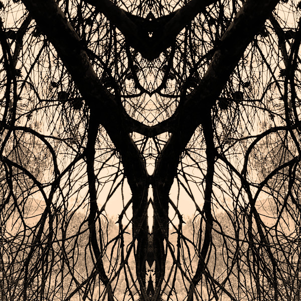 Hidden Creature 10 by Katie Hagen (Kat), Image 5.