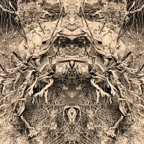 Hidden Creature 01 by Katie Hagen (Kat), Image 1.