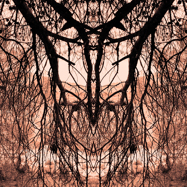 Wild Things' nr 2 by Katie Hagen (Kat)