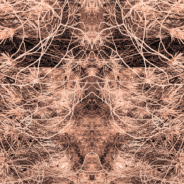 'Wild Things' nr 7 by Katie Hagen (Kat)