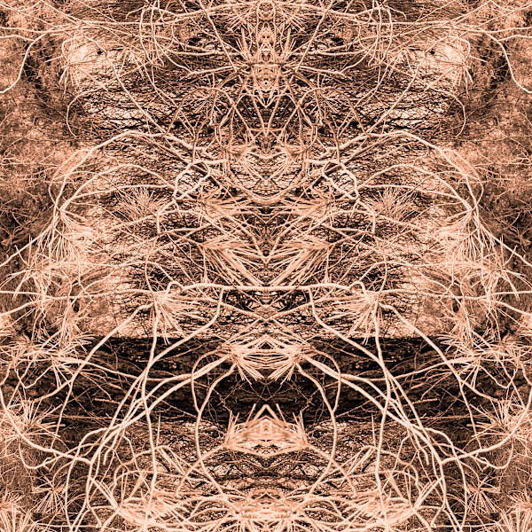 'Wild Things' nr 13 by Katie Hagen (Kat)