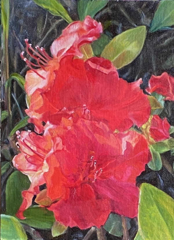 Blooming Hot by Rosemary Pergolizzi
