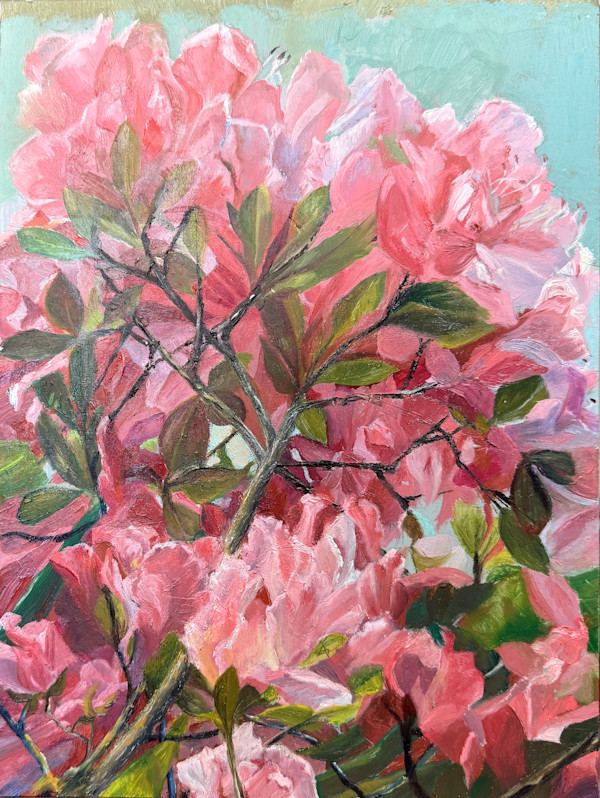 Azaleas by Rosemary Pergolizzi
