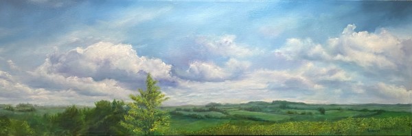 Above the Fingerlakes by Rosemary Pergolizzi