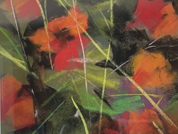 Poppies by Rosemary Pergolizzi
