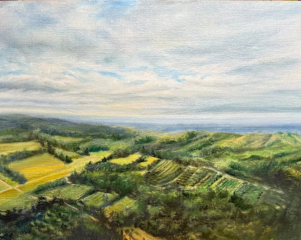 Olive Groves and Lavender Fields of Provence by Rosemary Pergolizzi