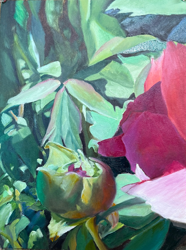 Opening to the Light by Rosemary Pergolizzi