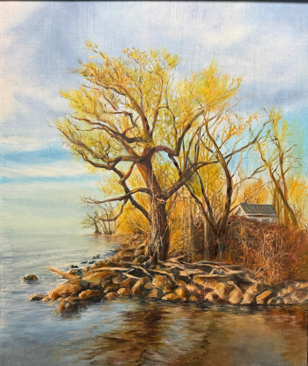 Four Mile Creek Outlet by Rosemary Pergolizzi
