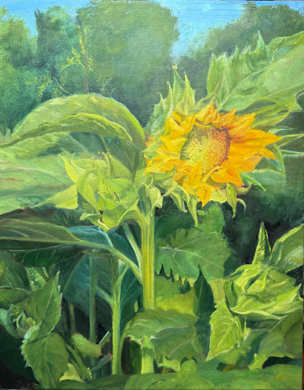 Turning To the Sun by Rosemary Pergolizzi