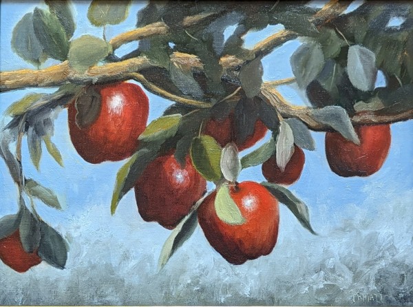 An Apple A Day by Pamela Hiatt