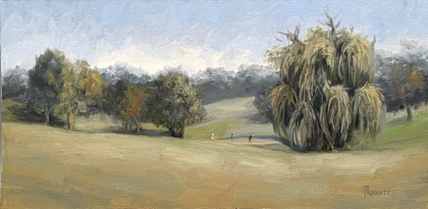 Reading The Green by Pamela Hiatt