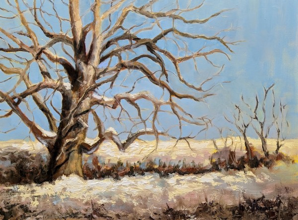 Snow Tree by Pamela Hiatt