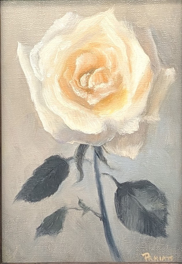 Soft by Pamela Hiatt, Image 1.