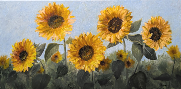 Sungazing by Pamela Hiatt