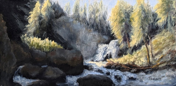 The Sun Peeks In by Pamela Hiatt, Image 1.