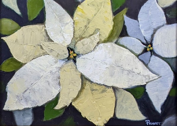 White Poinsettias by Pamela Hiatt