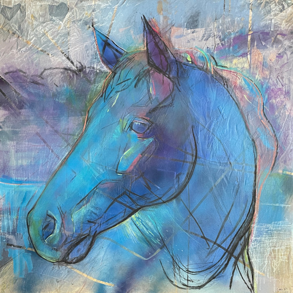 Mare's Nest by Jim Clark, Image 1.