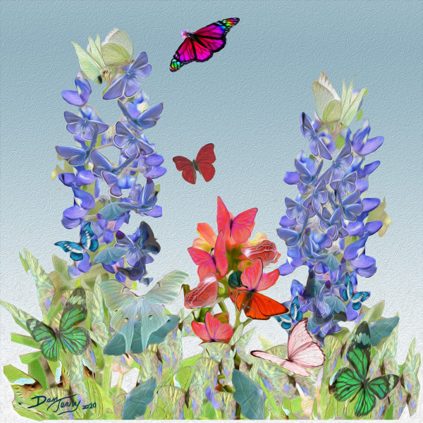 Butterfly bluebonnets Limited Edition Giclee by Dan Terry