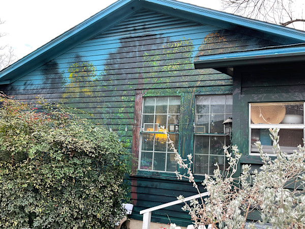 Eileen's Garden House Mural by Dan Terry, Image 2.