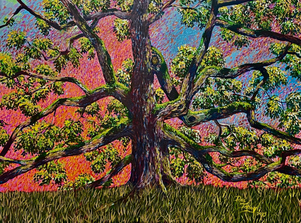 Summer Oak by Dan Terry