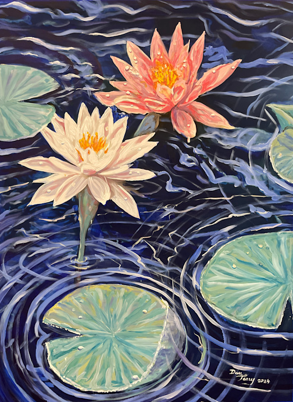 Water Lilies Study in Pinks by Dan Terry