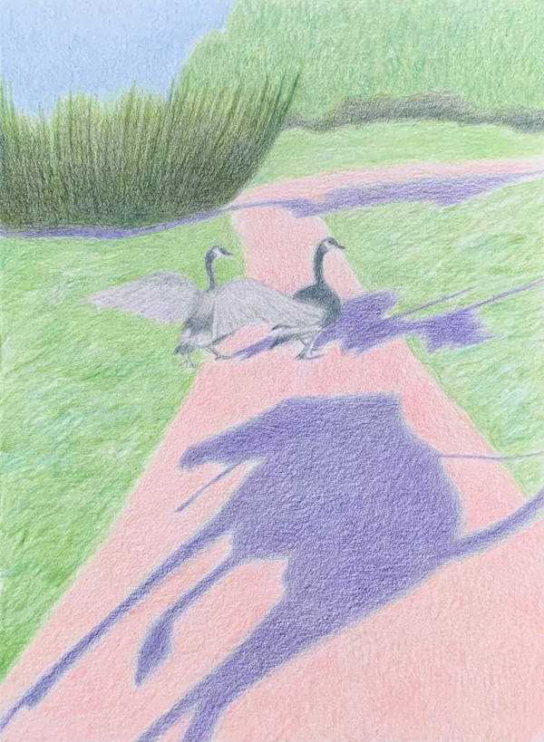 Goose Chase by Mia Risberg