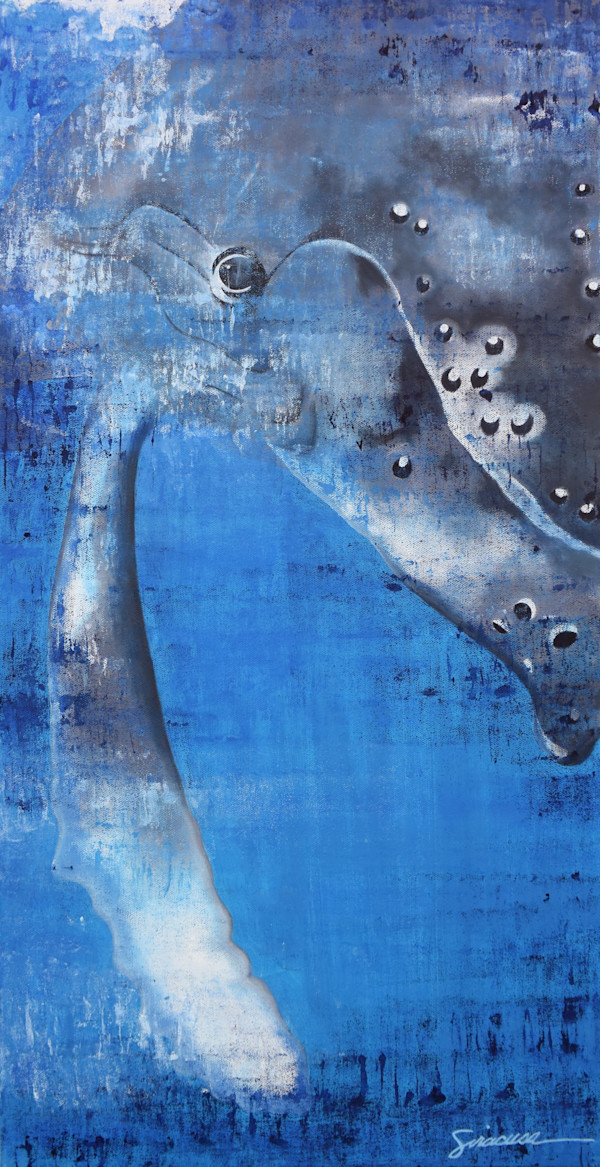 Vitamin SEA, Humpback Whale, Number 2 by Julie Siracusa, Image 1.