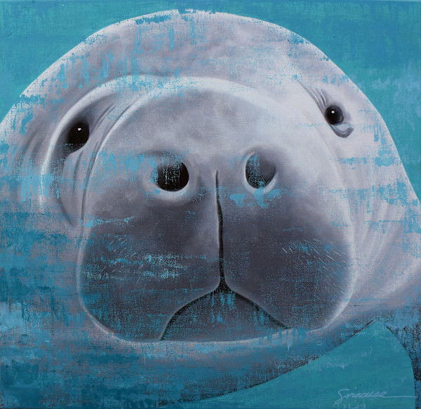 Vitamin SEA, Manatee, Number 2, Original by Julie Siracusa, Image 1.