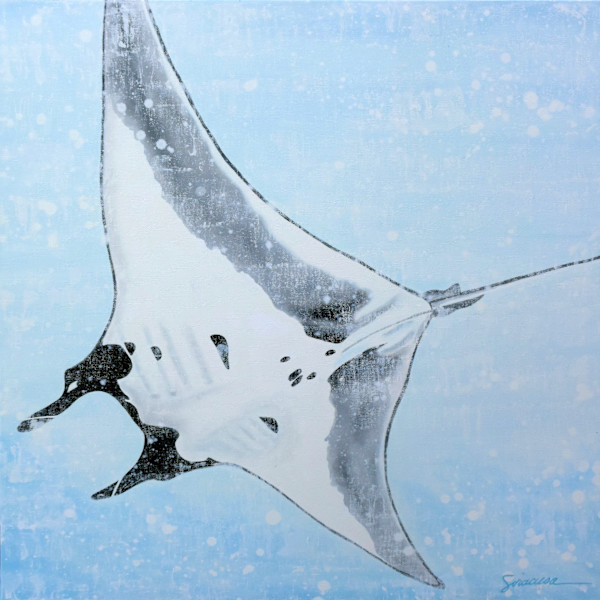Vitamin SEA, Manta Ray, Number 2 by Julie Siracusa, Image 1.