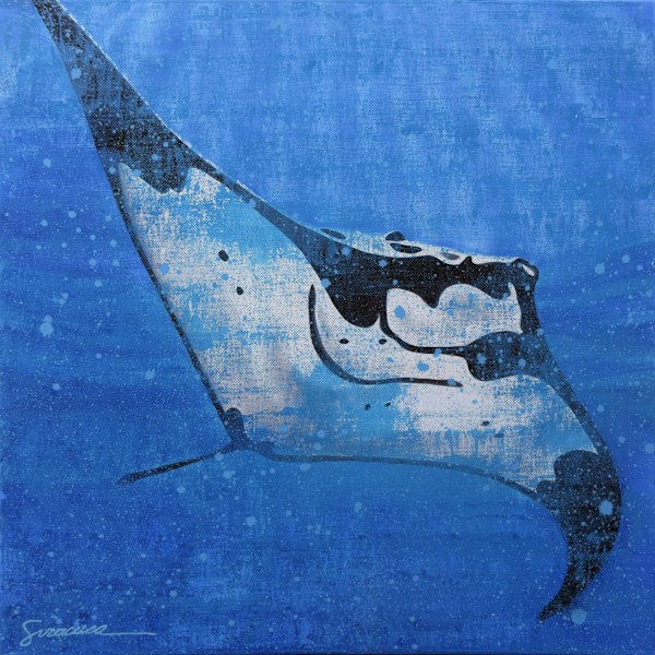 Vitamin SEA, Manta Ray, Number 3 by Julie Siracusa, Image 1.