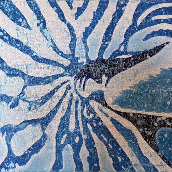 Vitamin SEA Pattern, Nautilus, Number 1 by Julie Siracusa, Image 1.