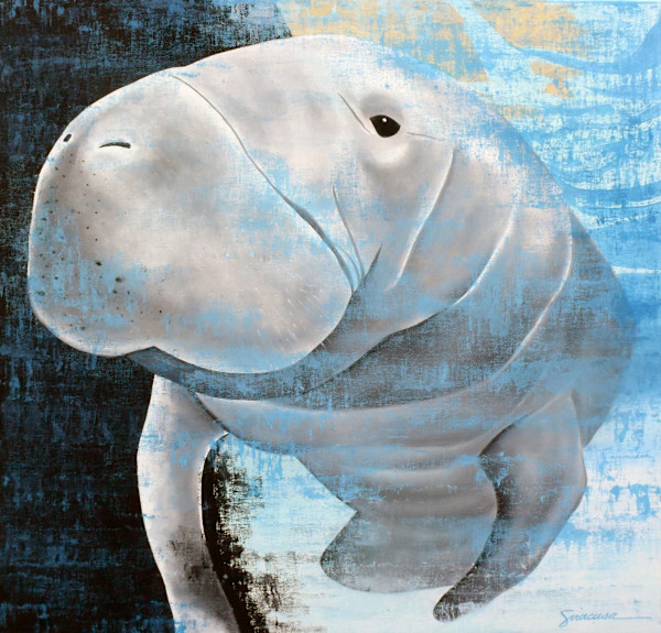 Vitamin SEA, Manatee, Number 1 by Julie Siracusa, Image 1.