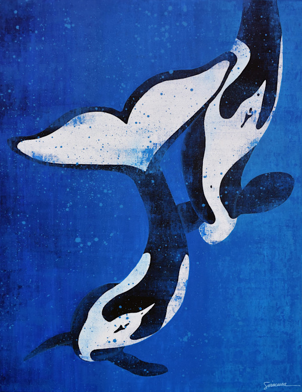 Vitamin SEA Pattern, Orca, Number 1 by Julie Siracusa, Image 1.